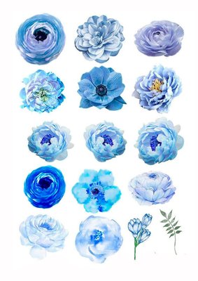 Вафельна картинка Блакитні весняні квіти 20x30см 027027/pr339 фото