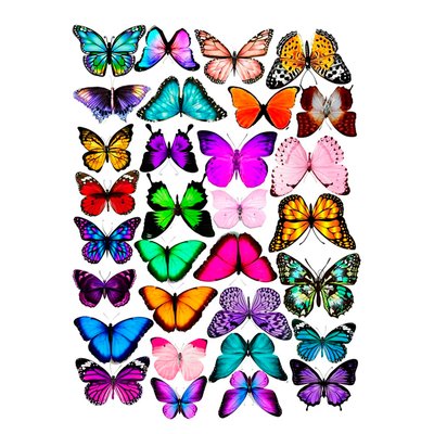Вафельная картинка Бабочки 20х30 027027/pr169 фото