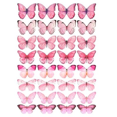 Цукрова картинка Метелики №8 20х30 028028/pr58 фото