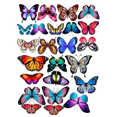 Цукрова картинка Метелики №9 20х30 028028/pr52 фото