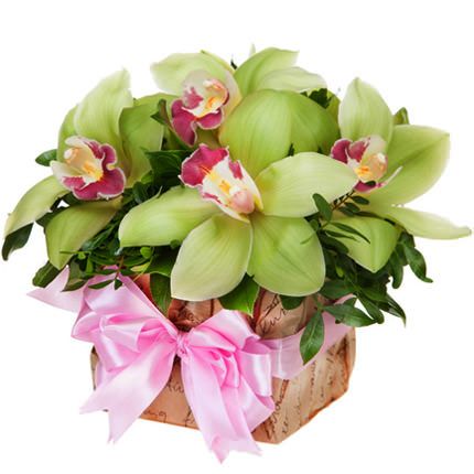 Вафельная картинка Орхидея 15х15 wk478 фото