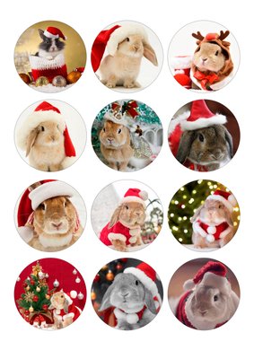 Вафельная картинка Новогодние кролики 20х30 027027/pr65 фото