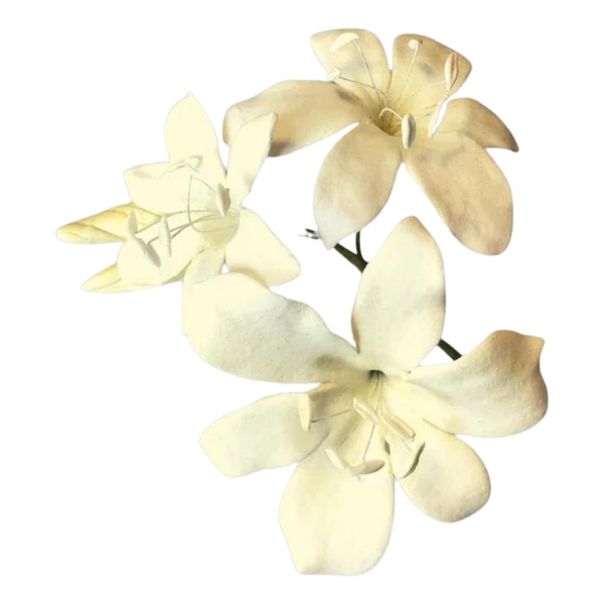 Цветок Свадебной Лилии - комплект FMM Bridal Lily & Former фото