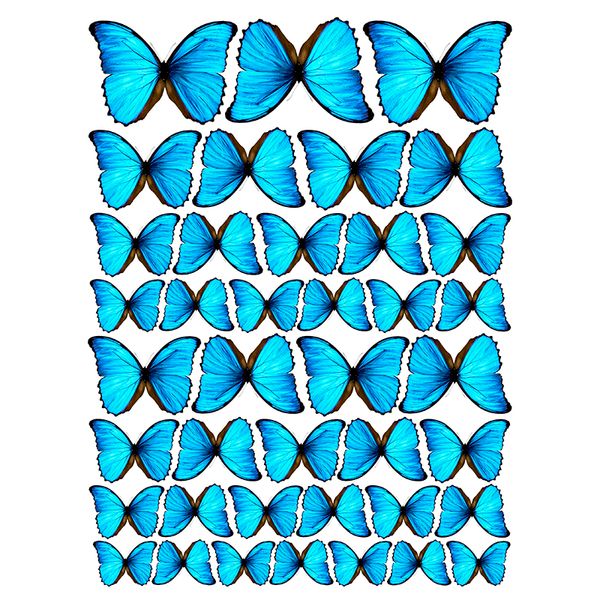 Вафельная картинка Бабочки №4 20х30 027027/pr54 фото
