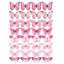 Вафельна картинка Метелики №8 20х30 027027/pr58 фото