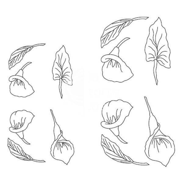 Пэчворк Белая лилия Arum lily фото
