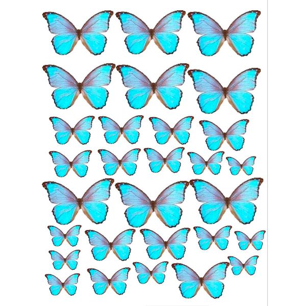 Вафельная картинка Бабочки №5 20х30 027027/pr55 фото