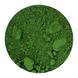 Сухой жирорастворимый краситель Eclat Зеленый, 7гр: Пищевые красители