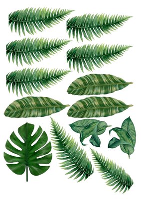 Вафельная картинка Тропические листья 30x20см 027027/pr375 фото
