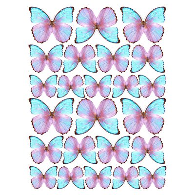 Вафельна картинка Метелики №3 20х30 027027/pr51 фото