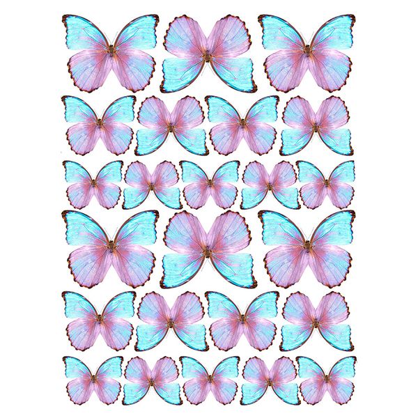 Вафельная картинка Бабочки №3 20х30 027027/pr51 фото