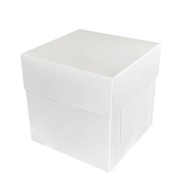 Коробка для бенто-торта 16x16x16 Белая (5шт) 1029::2 фото