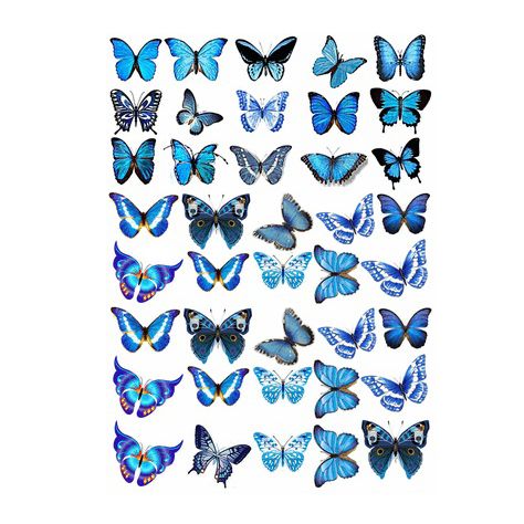 Вафельная картинка Бабочки сине-голубые 20х29 wk182 фото