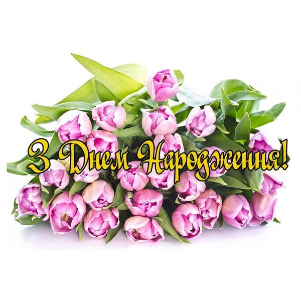 Вафельна картинка З Днем Народження тюльпани 14х20 wk536 фото