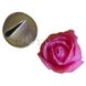 Насадка Ateco #102 Лепесток розы: Инвентарь