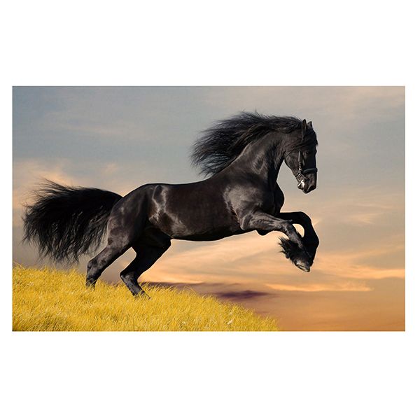 Вафельная картинка Лошадь 29х20 wk464 фото