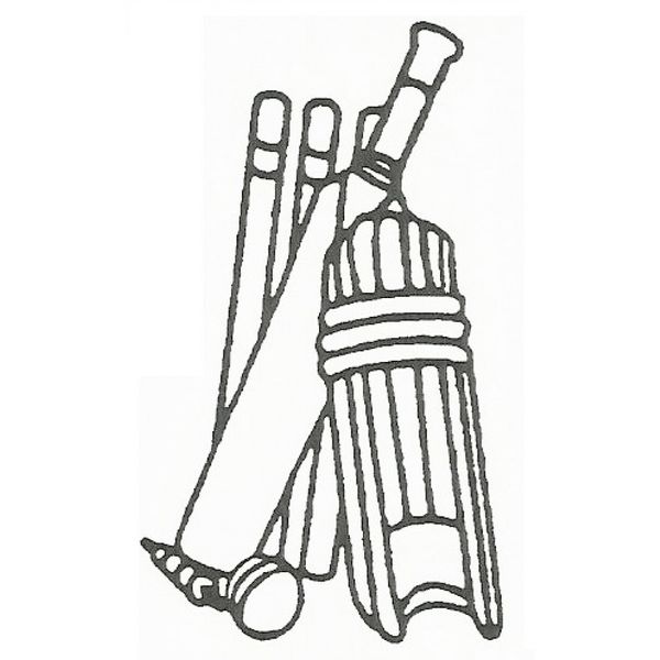 Печворк Крикет Cricket фото
