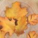 Набір виїмок Осіннє листя (4шт): Різаки, плунжери, печворки
