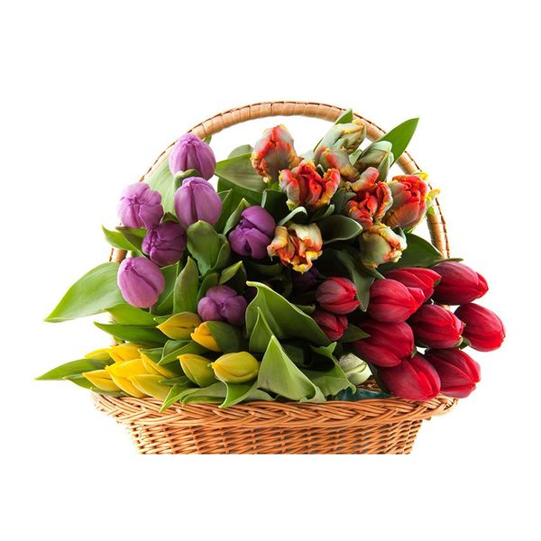 Вафельная картинка Тюльпаны в корзинке 30х20 wk463 фото